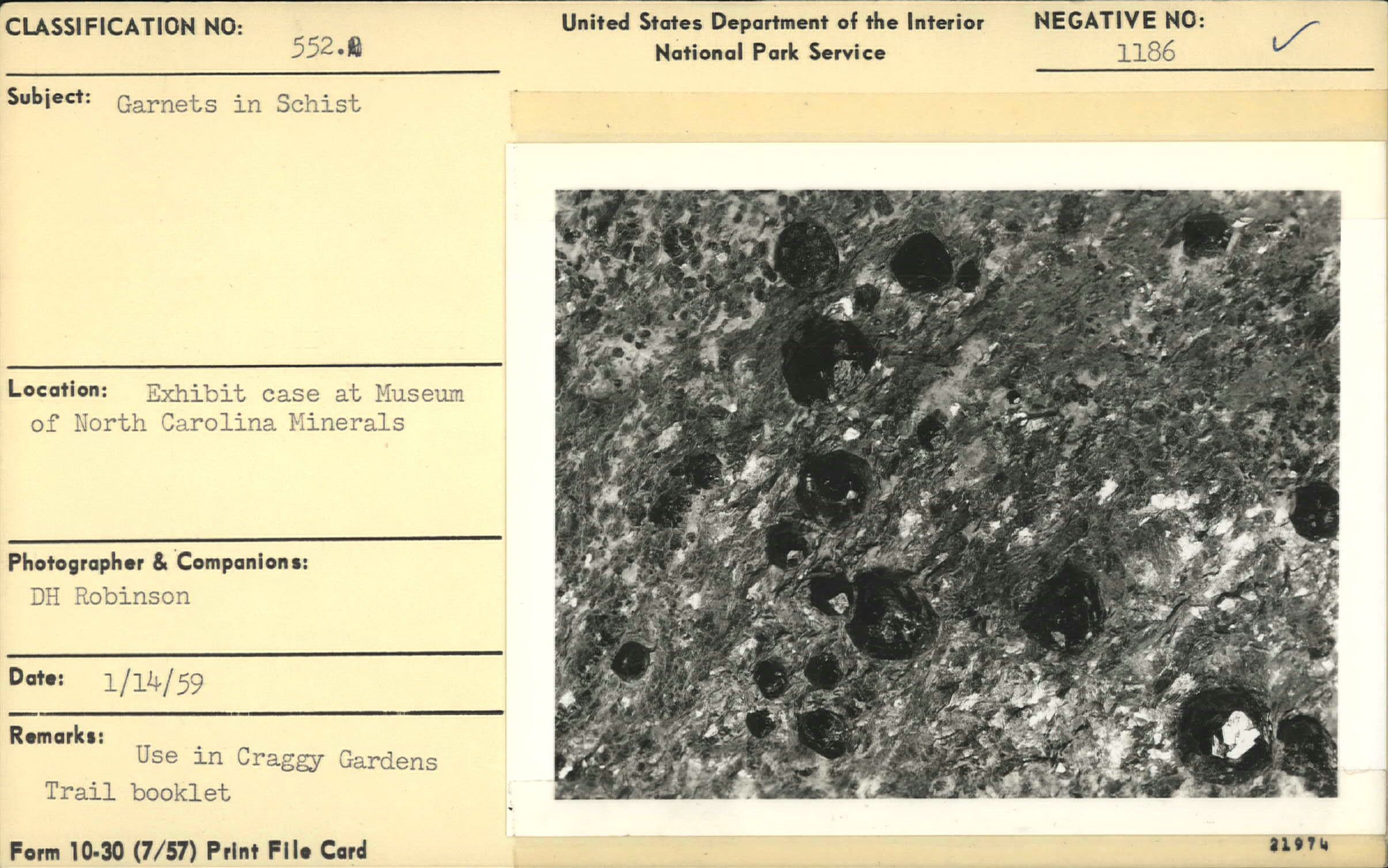 Garnets in Schist from exhibit case