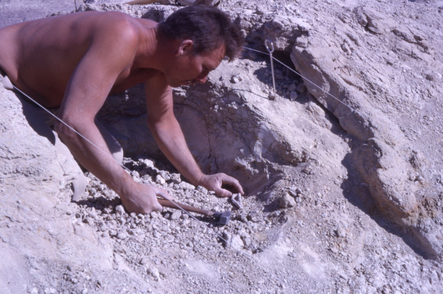 Image of a man observing a bone fragment tool at an archeological dig site in the gravel