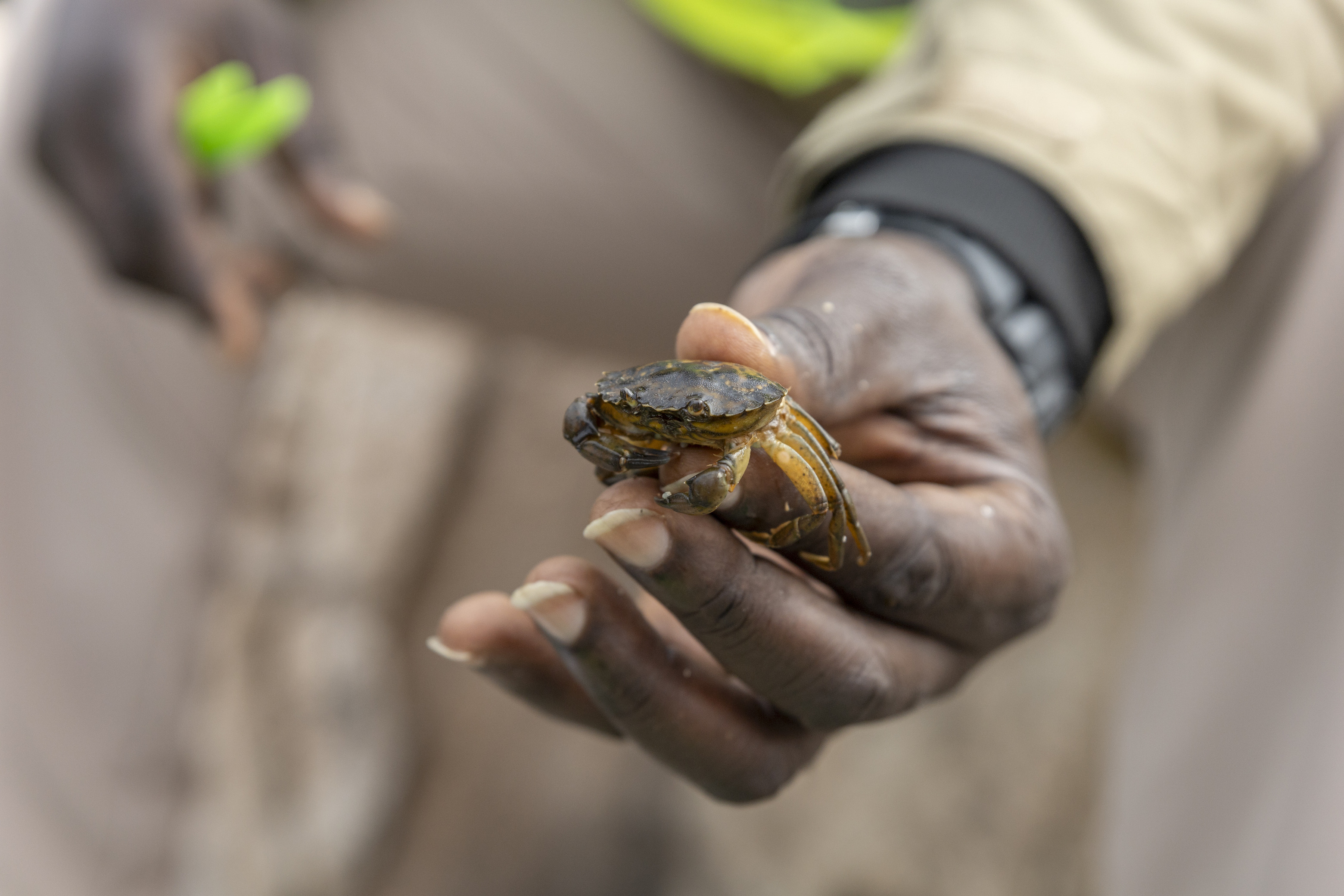 Tuskegee University students tour Acadia National Park as they learn about various career fields within the park.