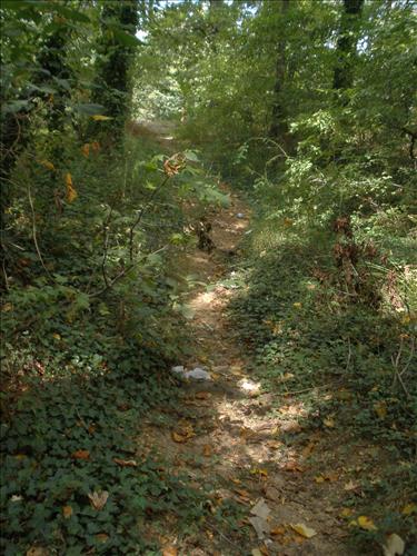 Ft. Circle Trails Stabilization and Maintenance, March 2011