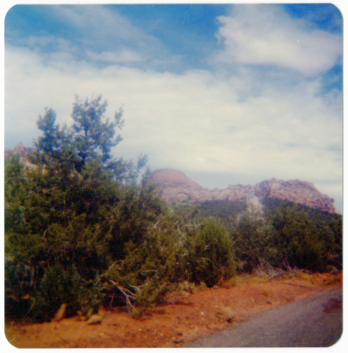 Landscaping along the side of the Kolob Terrace Road.