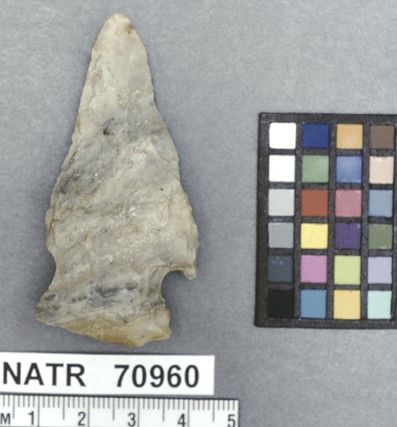 NATR   70960 -- Kirk Corner Notched Cluster projectile point