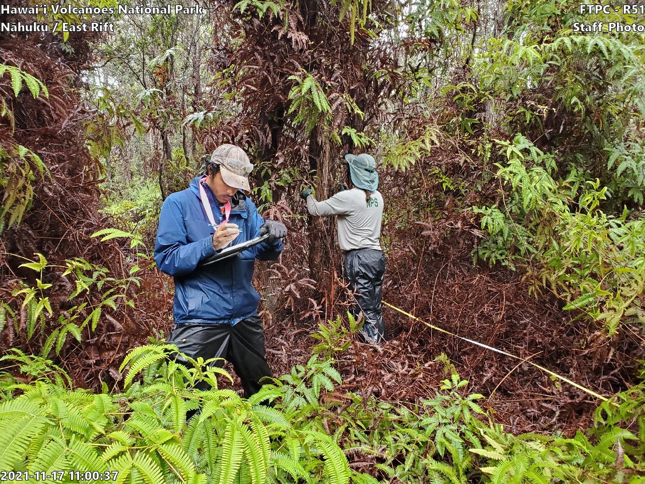Photo of staff personel at the monitoring site