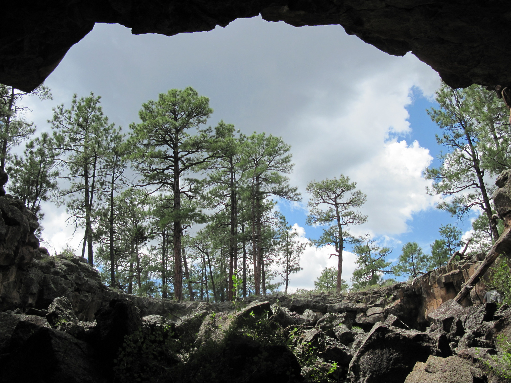 A cave opening makes a wide arc over a rubble floor and frames a stand of tall pine trees below a cloudy sky.