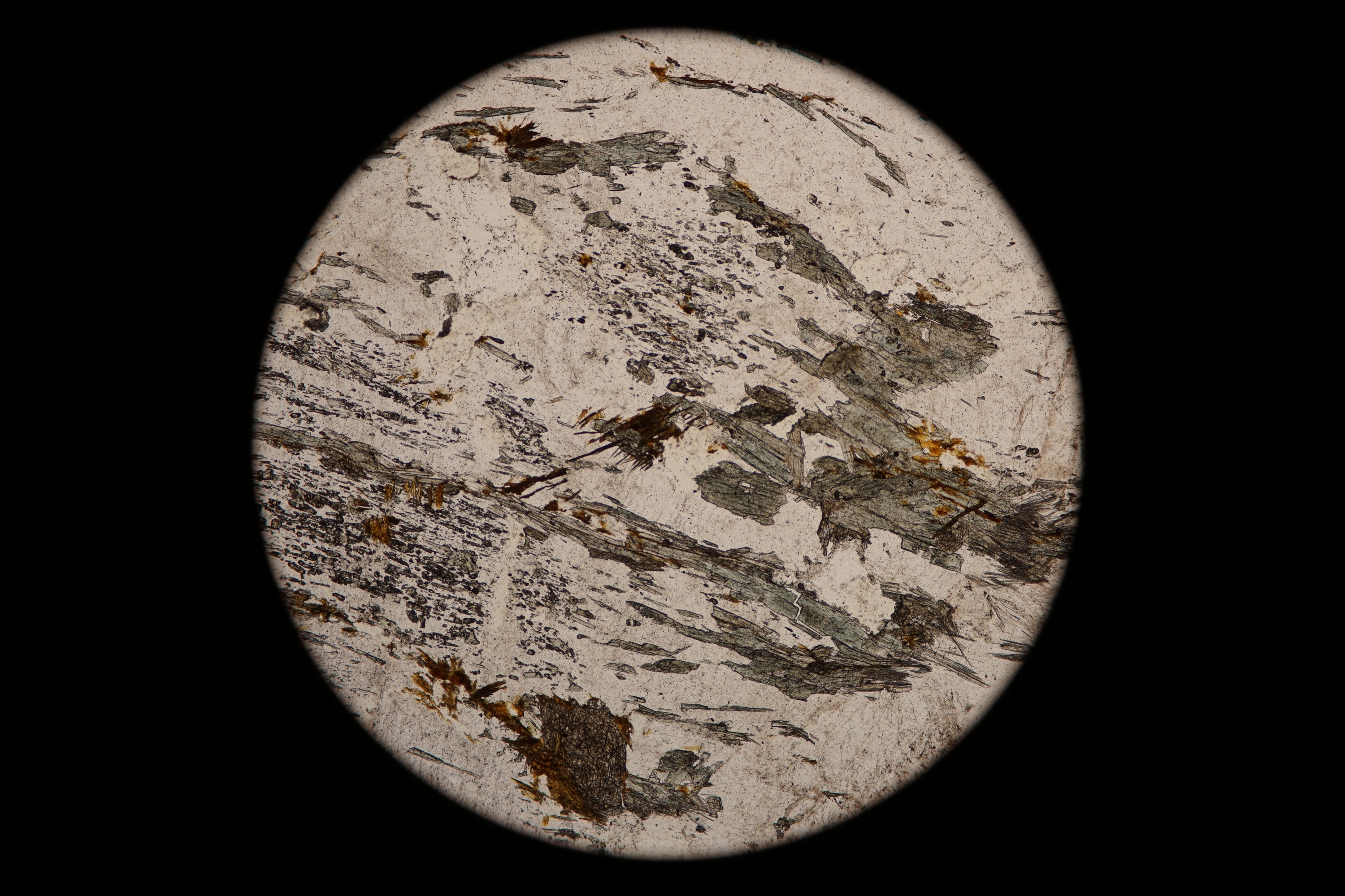 Circular microscopic image of rock structure.