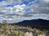 Sparse pine trees growing in black volcanic cinders with a paved road through the foreground. A large extinct volcano with rolling hills, a blue sky, and white puffy clouds. 