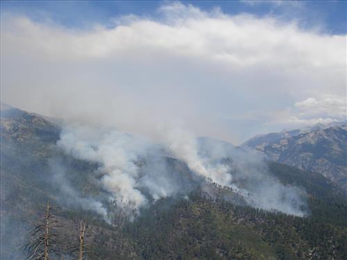 Images of the Comb Complex wildland fire use project taken from park helicopter, Sequoia and Kings Canyon National Parks, summer 2005