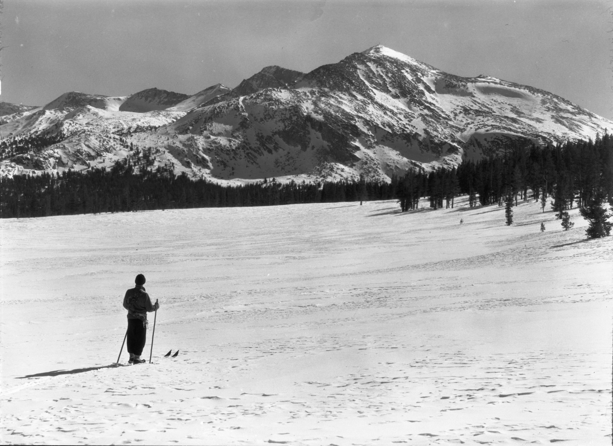 Jack Emmert (skier) looking across Dana Meadow