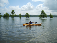 Water over the Point boat ramp created interesting opportunities for visitors.