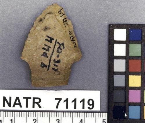 NATR   71119 -- Dickson Cluster projectile point