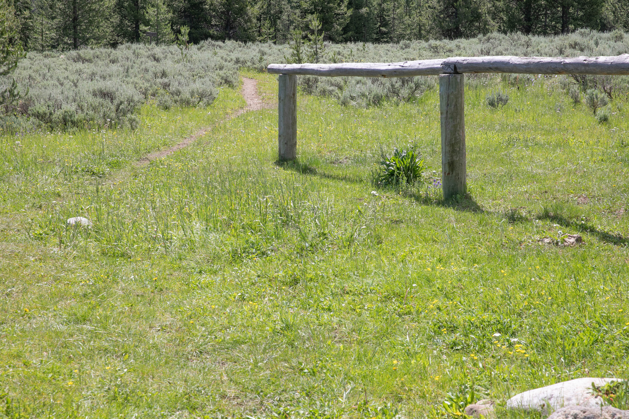 A trail goes into the sagebrush past a hitching post on the right.