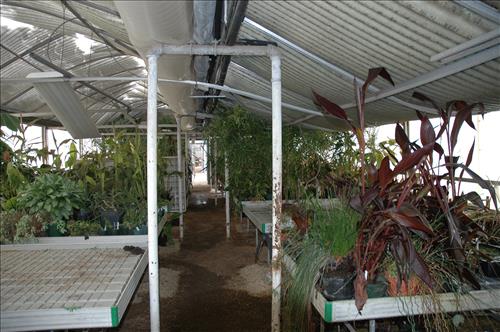 Major snow storm damage to greenhouse #4 at Kenilworth Aquatic Gardens - February 2010