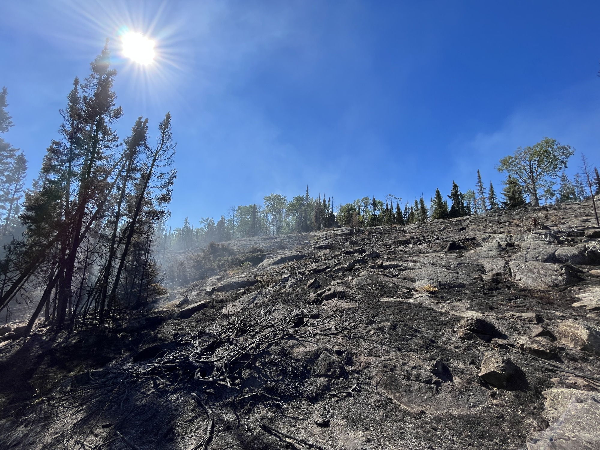The sun high above a burnt, blackened landscape and burnt trees.