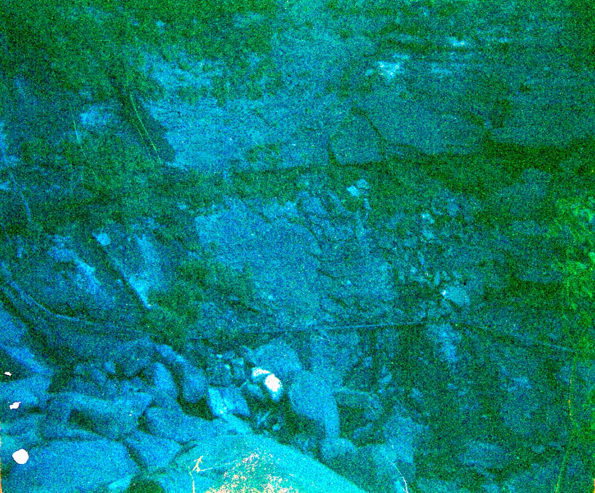 Scaffolding construction and use at the Temple of Sinawava during a spring project.