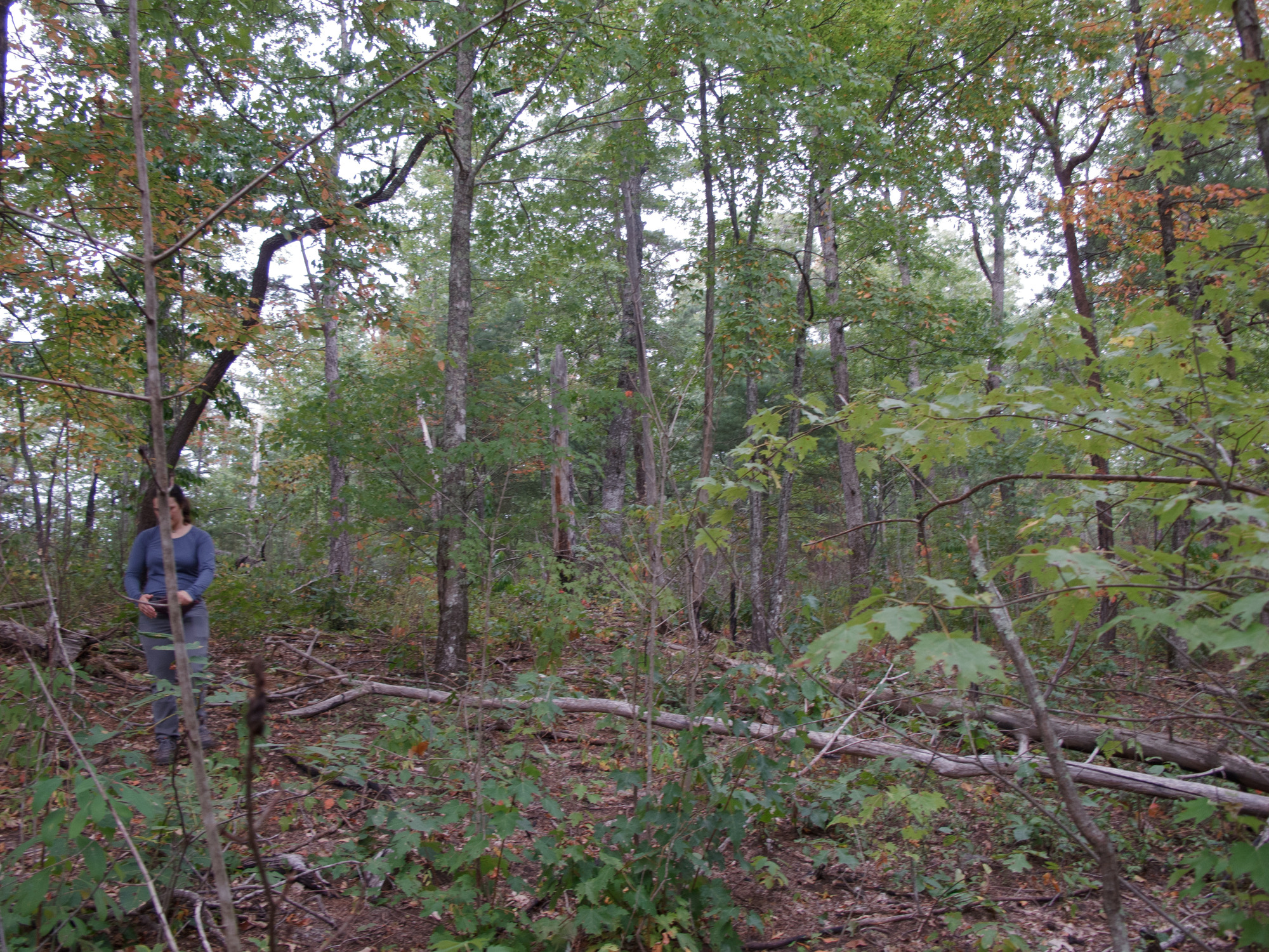 GRSM Accuracy Assessment. Plot Code: GRSM_AA_0898_6