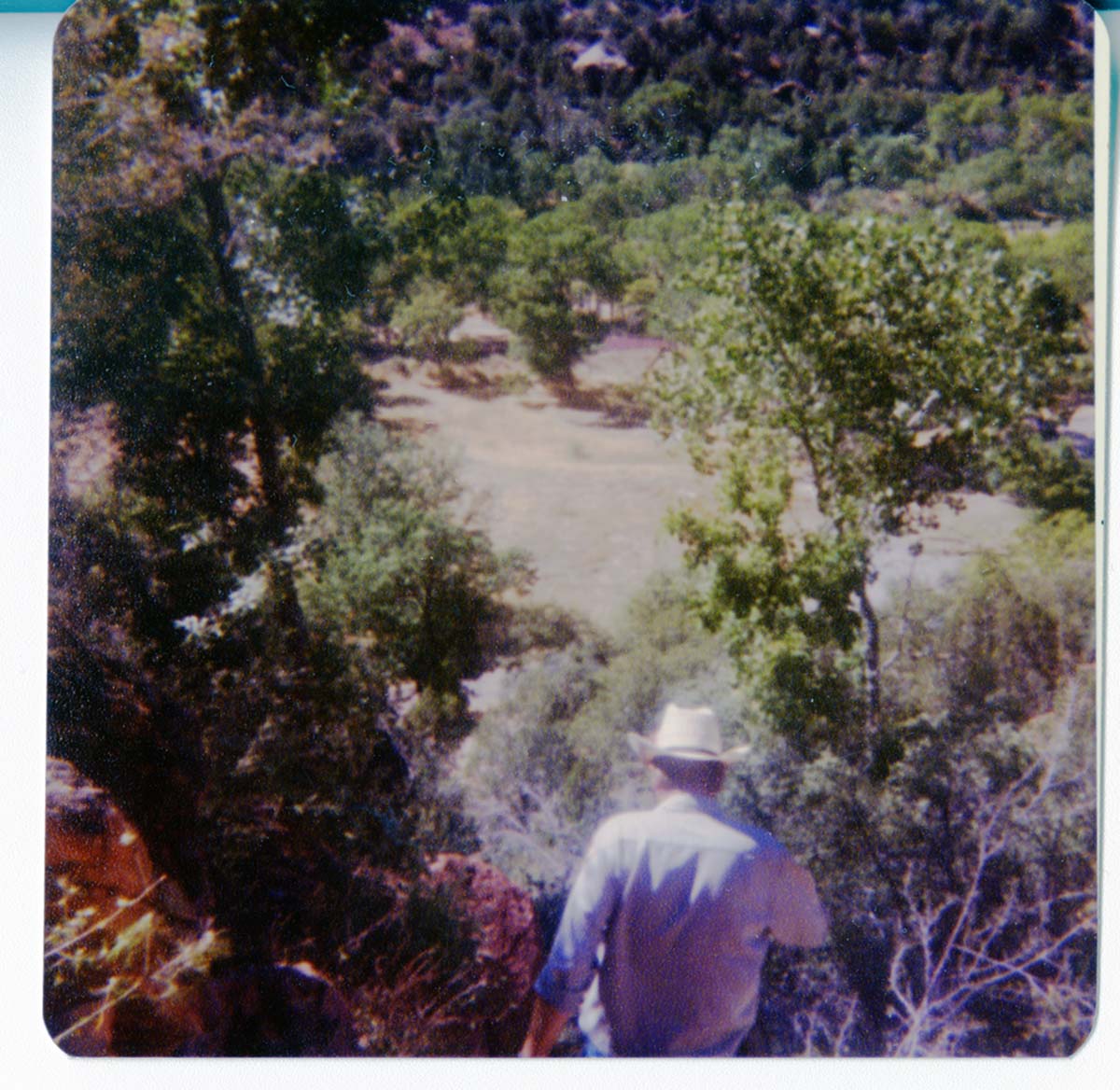 The grounds around the Zion Lodge.