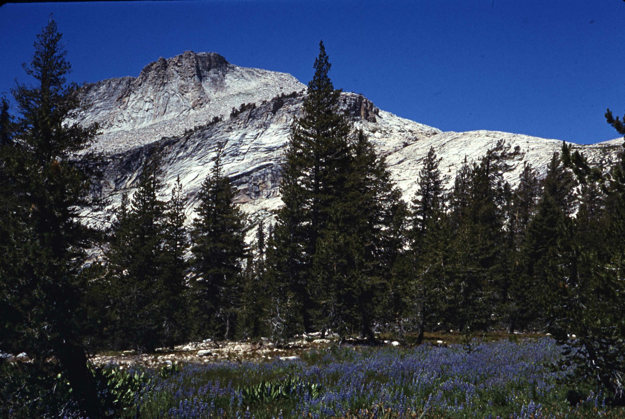 Mt. Hoffman