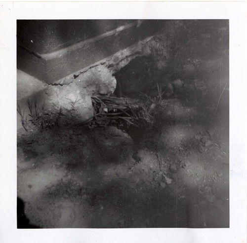 Wiring problem in the Grotto area.