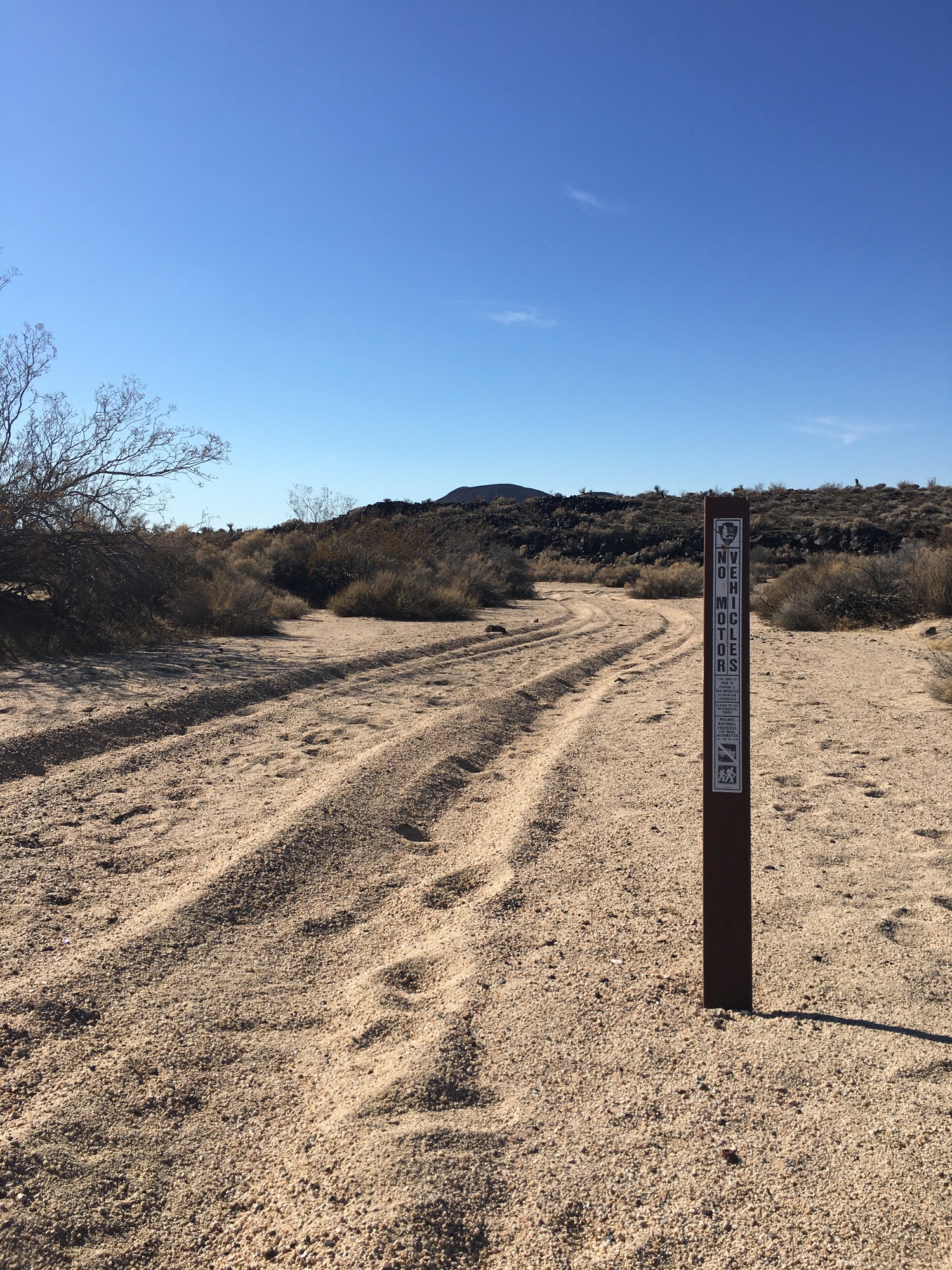 A "no motor vehicles" wilderness boundary sign with tire tracks behind it.