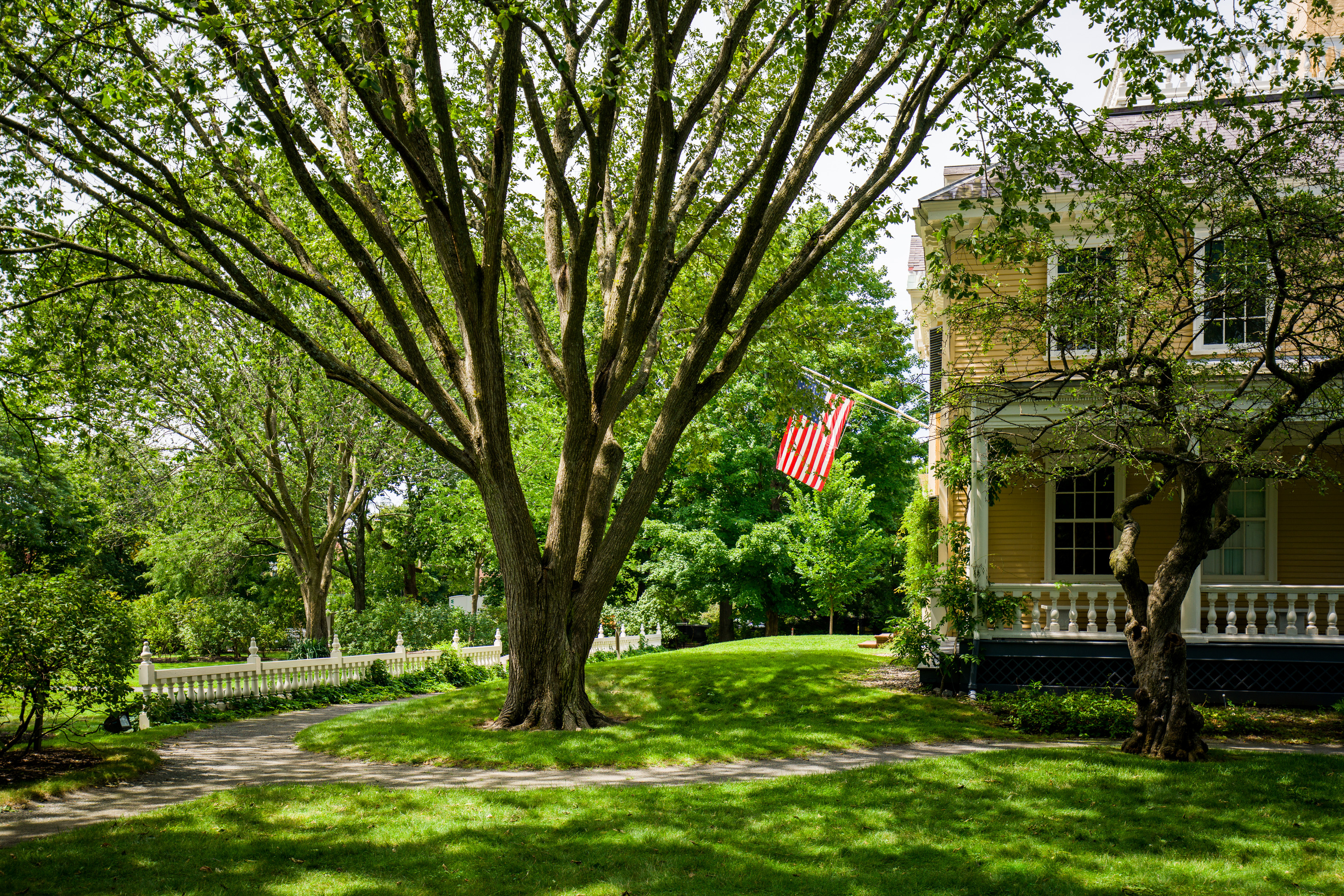 Large yellow house at right with United States flag flying from short pole. Large elm tree at center with several more trees in background.
