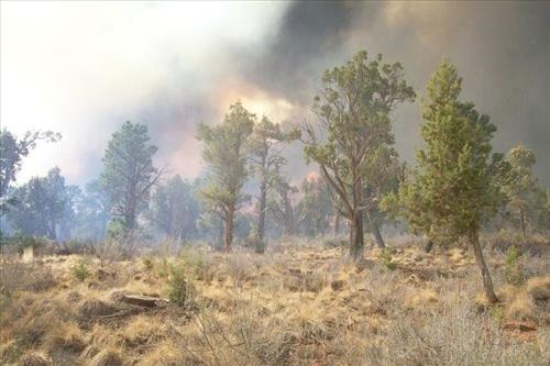 Full fire with black smoke in wooded areas during Long Mesa Fire at Mesa Verde National Park, July 29-Aug. 4, 2002