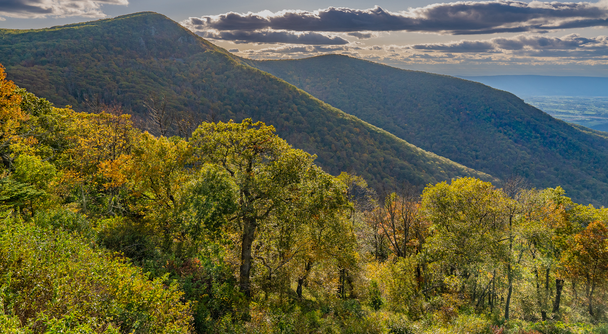 Crescent Rock Overlook, backlit mountains in the background and the trees beginning to turn in the foreground.