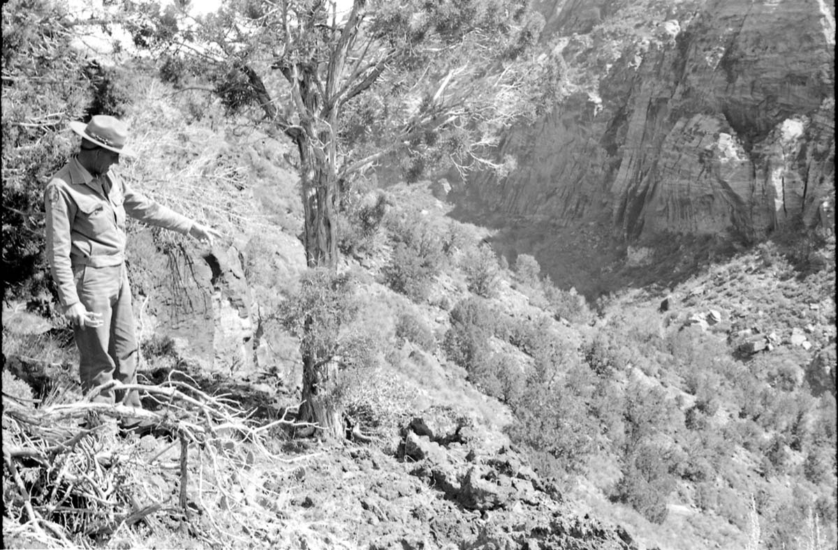 BW photo of the 1937 grazing study 35MM. Ranger pointing at subject.