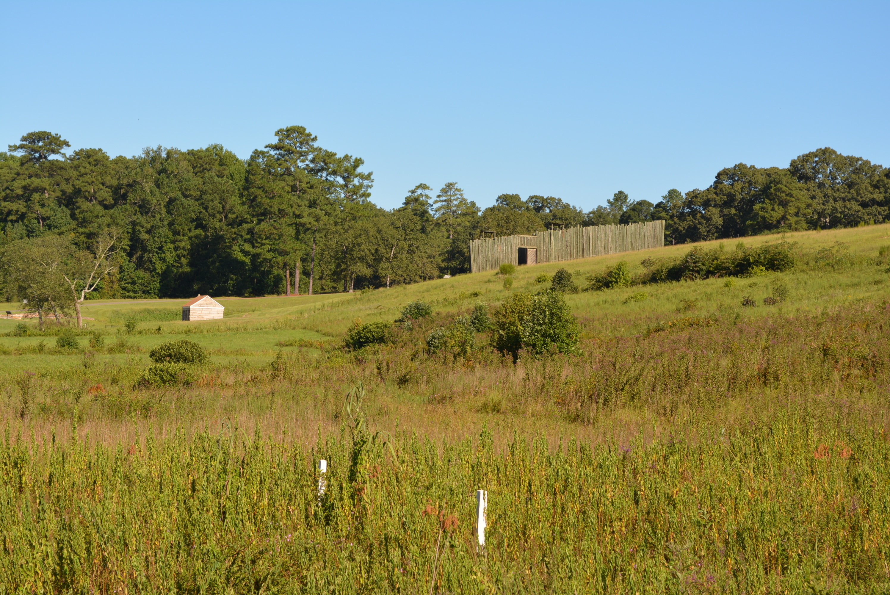 Grassy area looking toward two structures and woods.