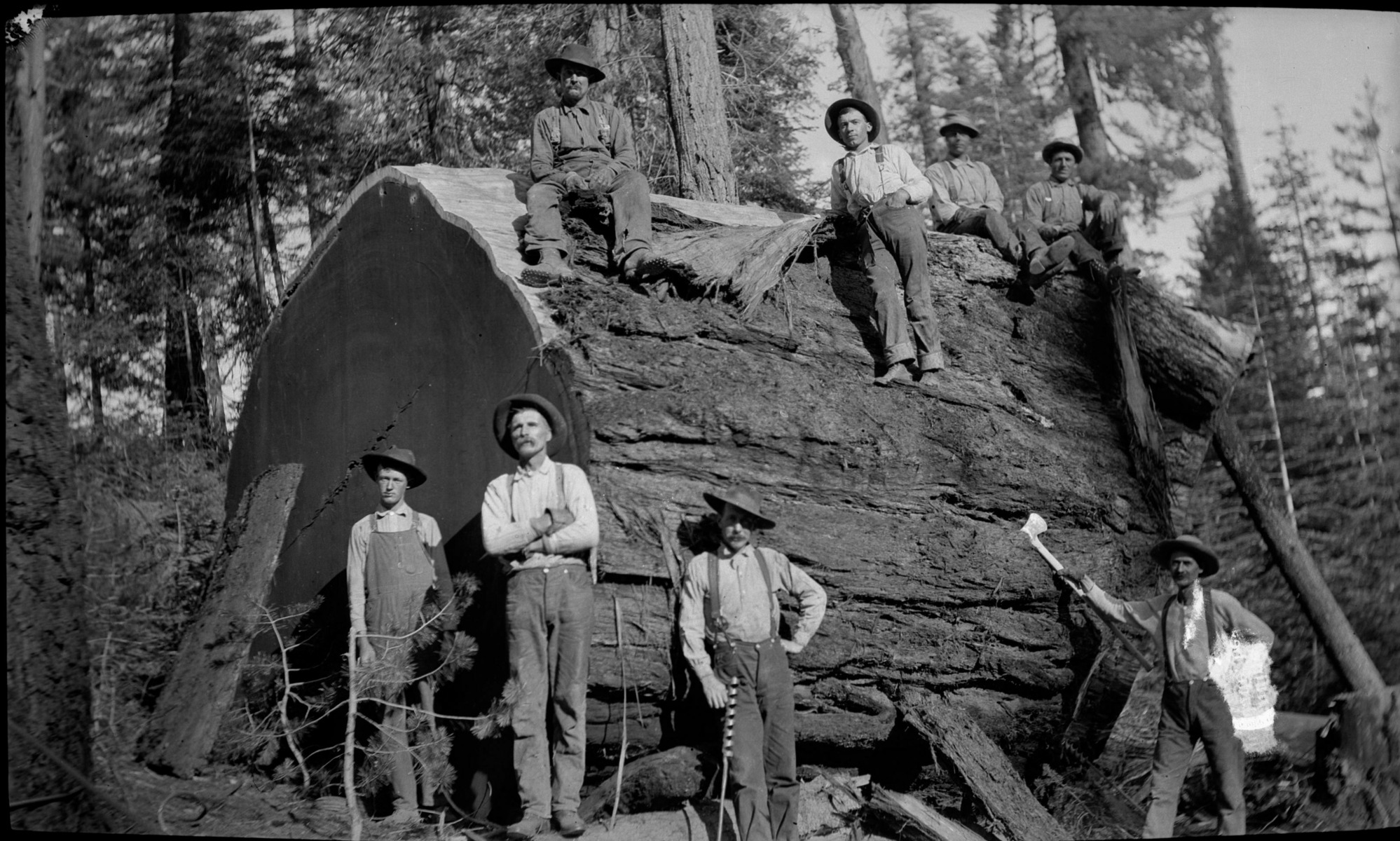SEKI Roberts Collection Series: 2 Negatives; 8 Logging