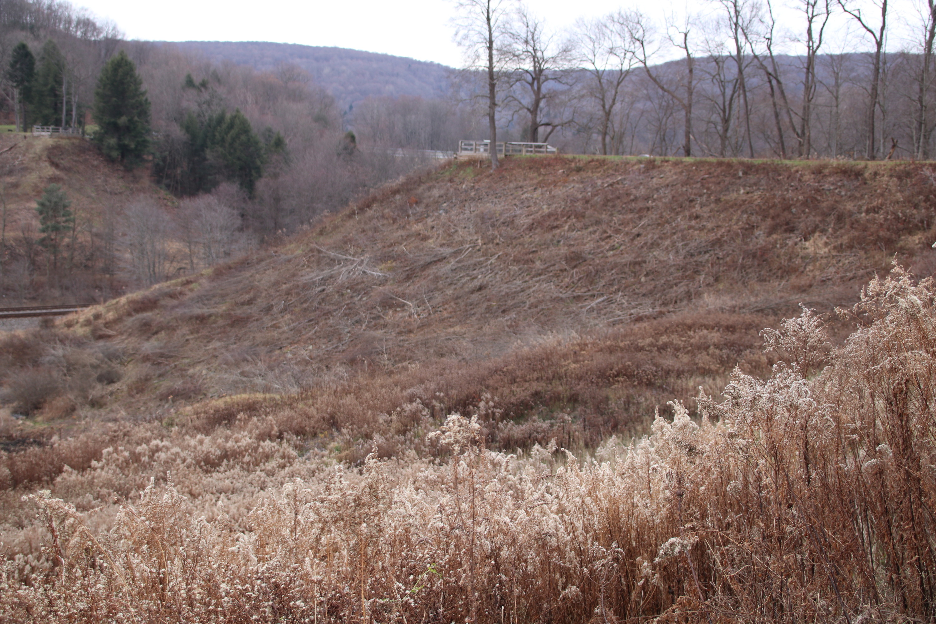 Remains of the South Fork Dam 