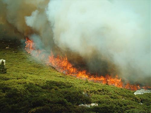 Hot Springs wildfire, Sequoia and Kings Canyon National Parks, summer 2004