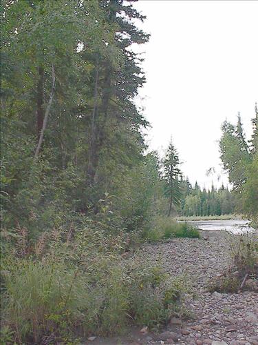 Bonanza Creek Water Quality Testing, Yukon-Charley Rivers, 2003
