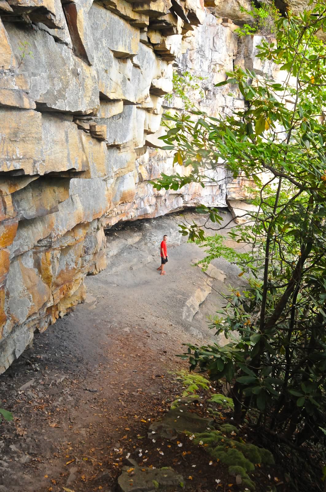 hiker on a trail at the base of a large cliff
