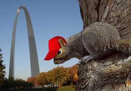 2011 rally squirrel