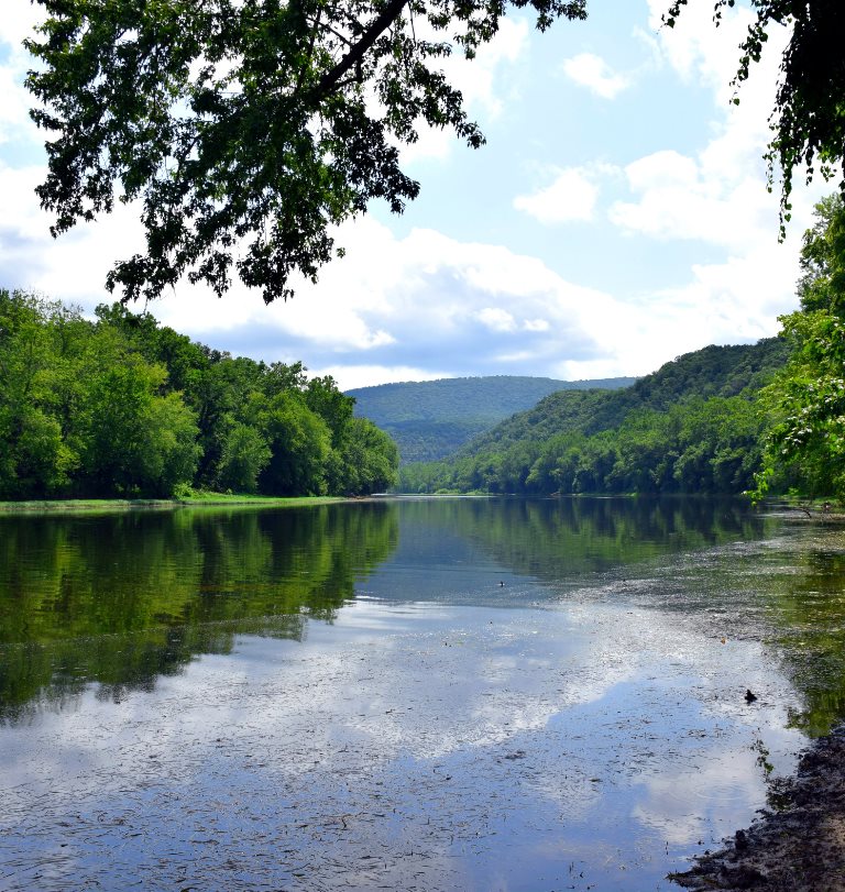 The view of the Potomac at the mouth of Fifteenmile Creek 