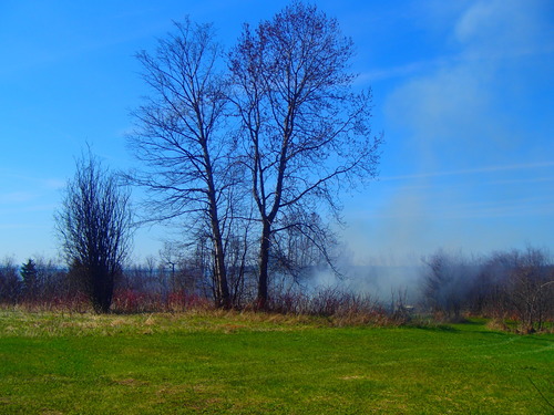 Meadow Prescribed Burn begins