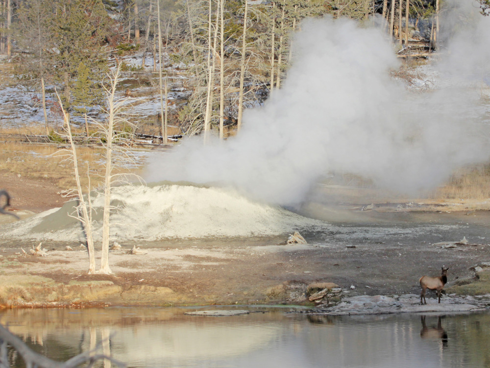 An elk stands along the river with the cone of a mudpot behind it.