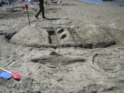 Turtle Boat Shark, by Charlotte Levin