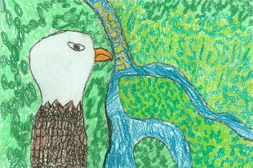 Como Park Elementary, SPSS