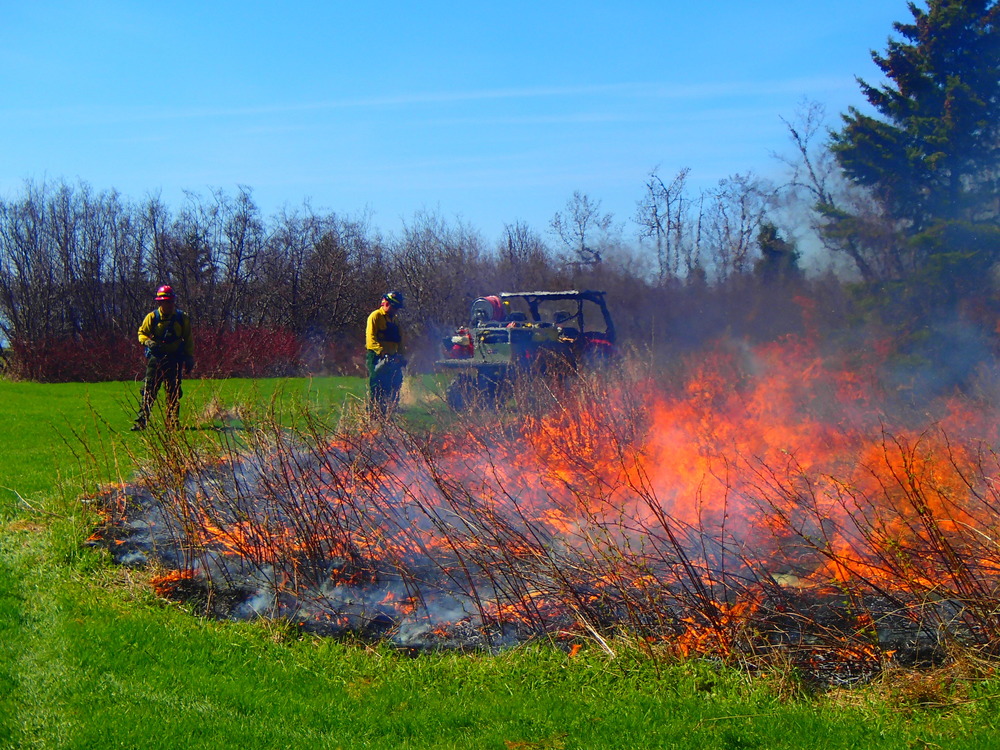 Two firefighters observe progress of burn