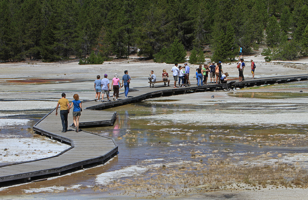 Visitors in Norris Geyser Basin