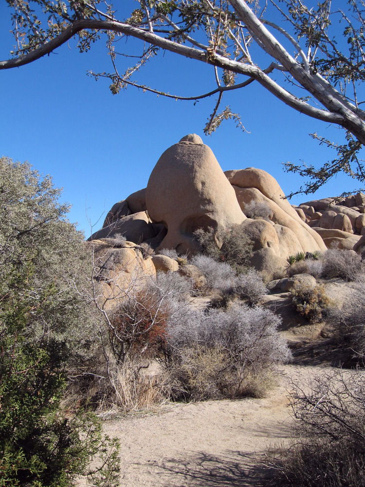 Skull Rock