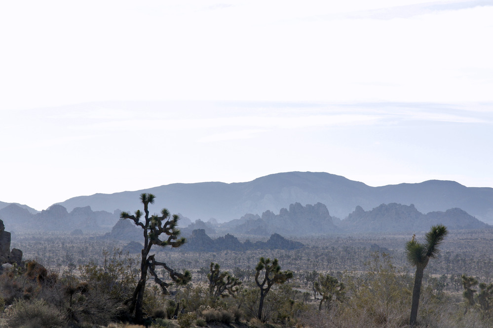 Morning along Park Boulevard