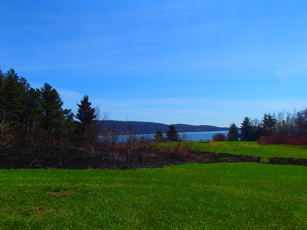 Picnic area after the completion of a prescribed burn