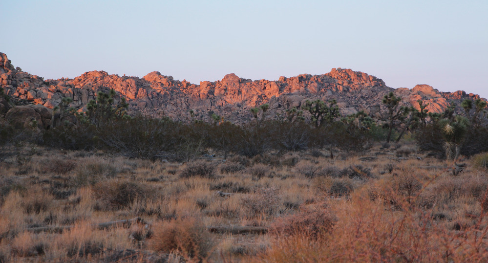 Evening Light on Rocks