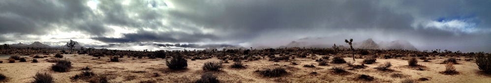 a rare foggy morning in Joshua Tree National Park, December 3, 2014