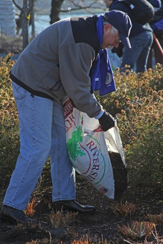 Secretary of Interior Ken Salazar lends a hand and leads a group of volunteers mulching and tending the planters at the Martin Luther King, Jr. Memorial for the 2013 Day of Service.