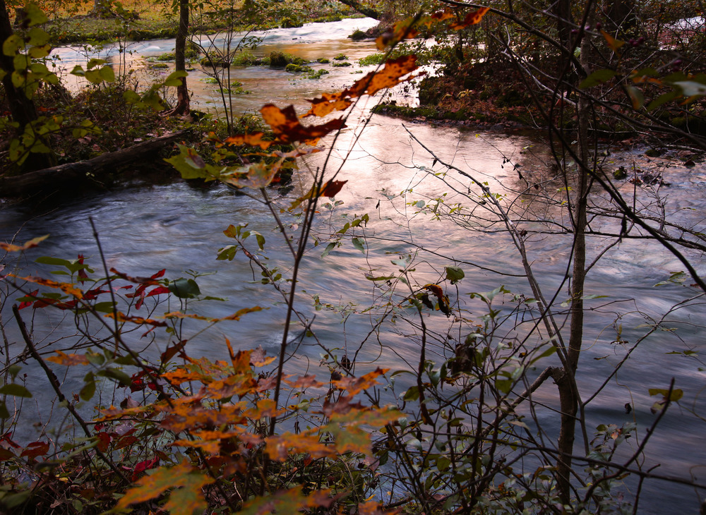Reflection at Alley Spring