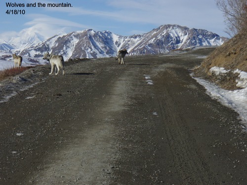 road equipment along a dirt road
