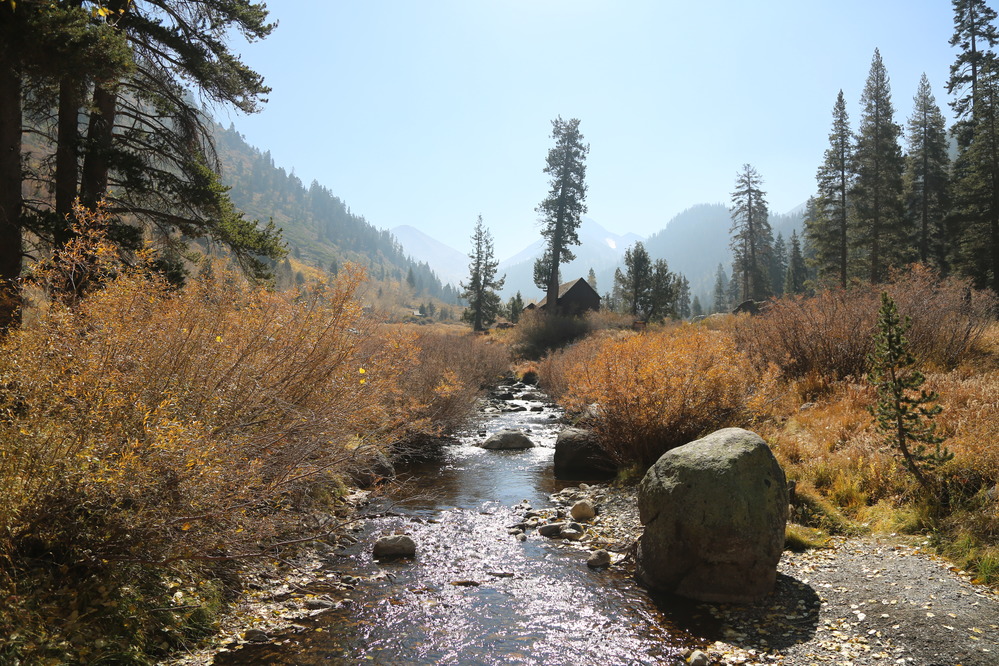 A stream surrounded by fall colors and forested mountain sides 